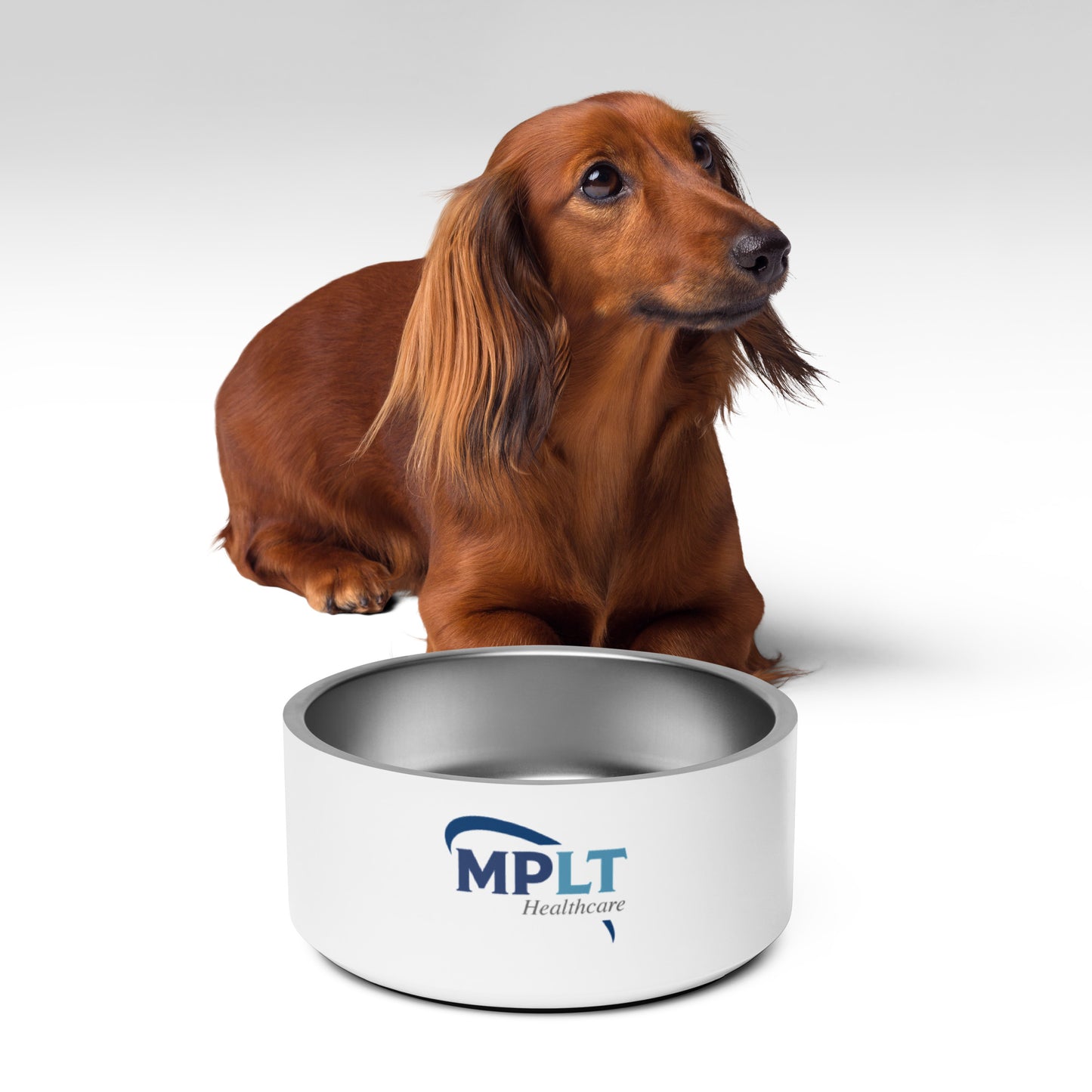Pet Bowl