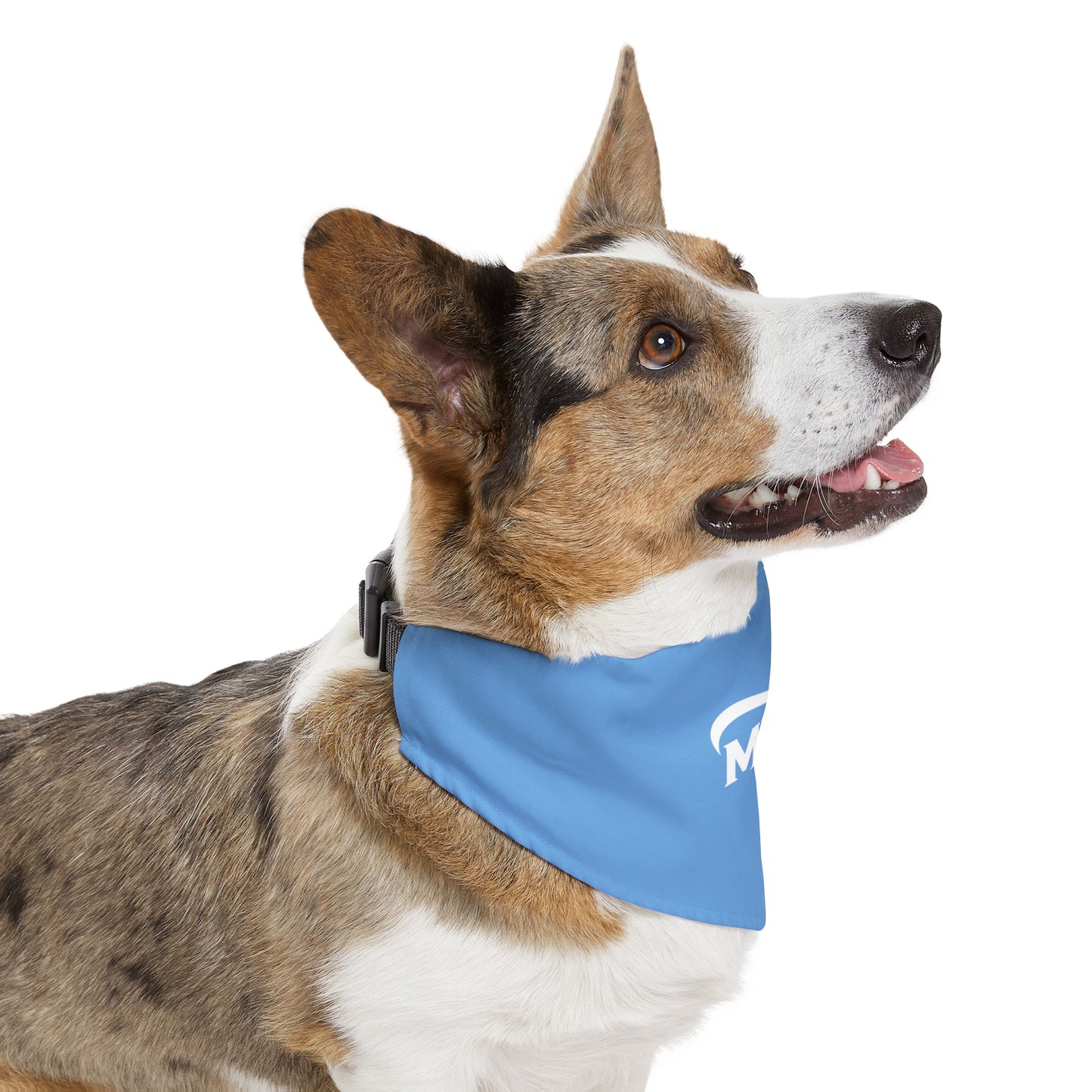 Pet Bandana Collar